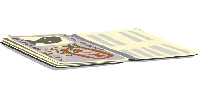 Visa