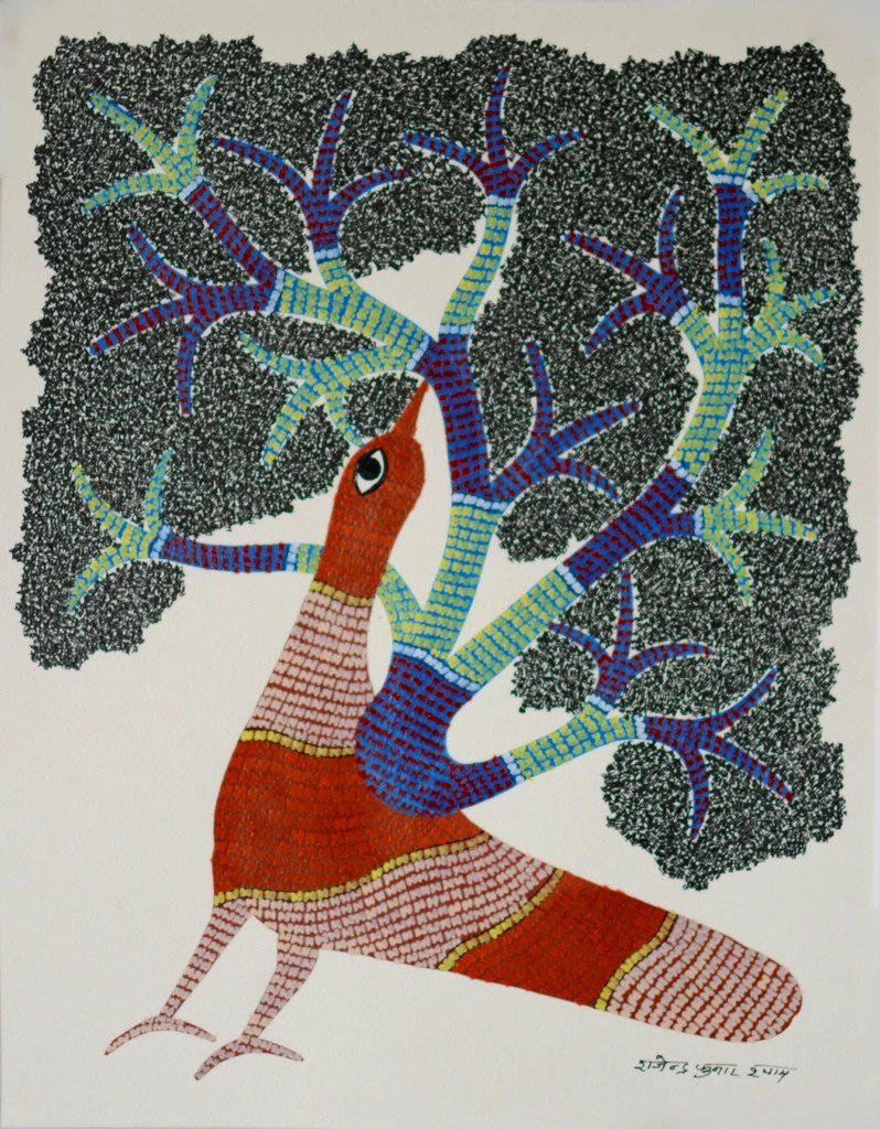Birds of the Forest