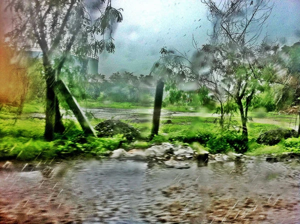 Mumbai Monsoon