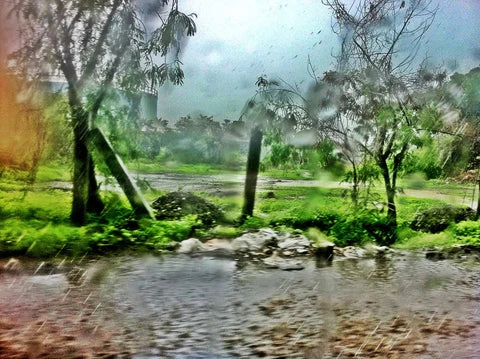 Mumbai Monsoon