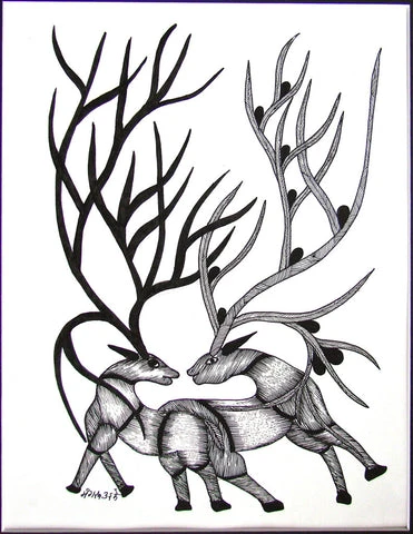 Deers